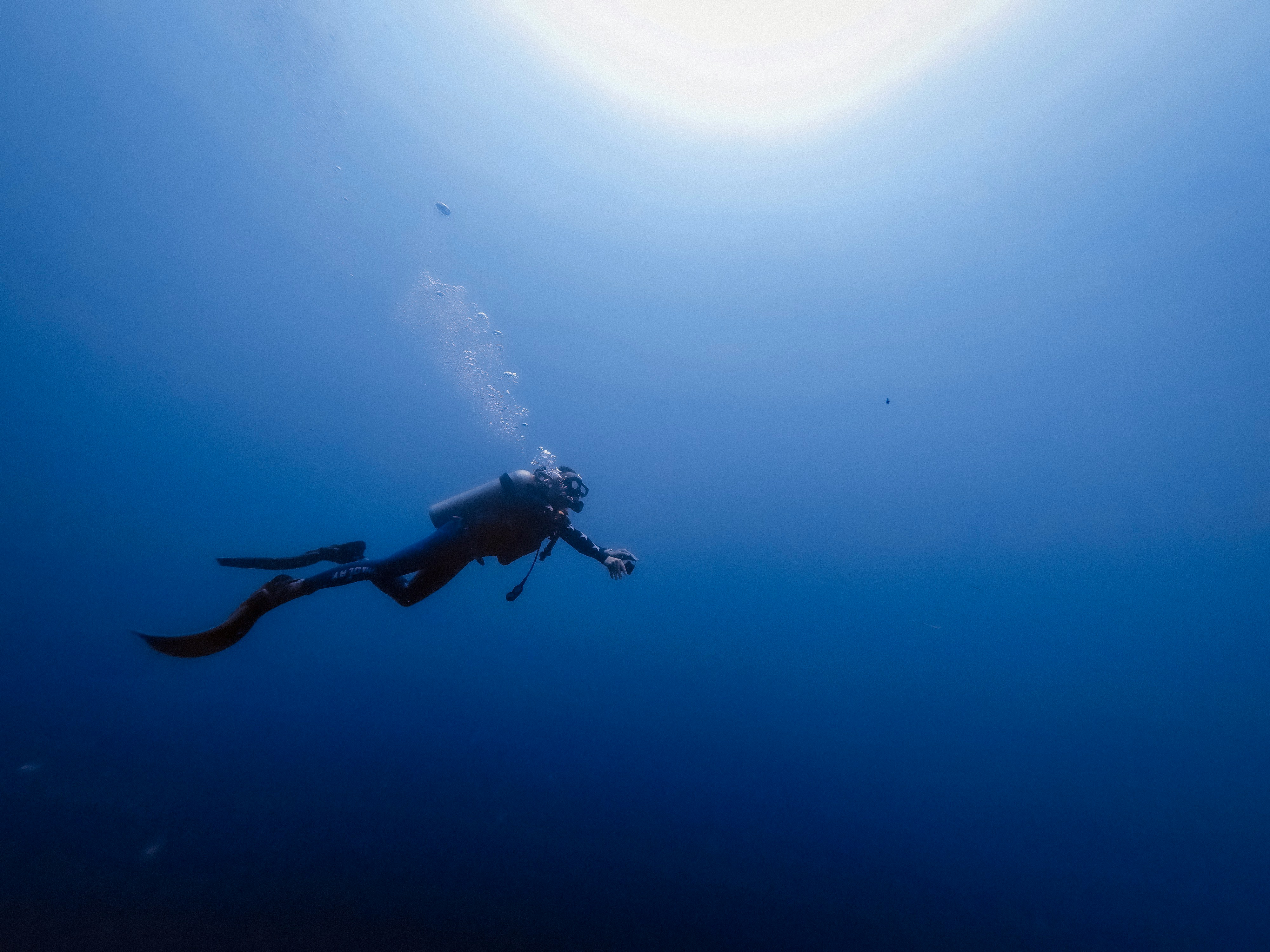 Diving in the ocean