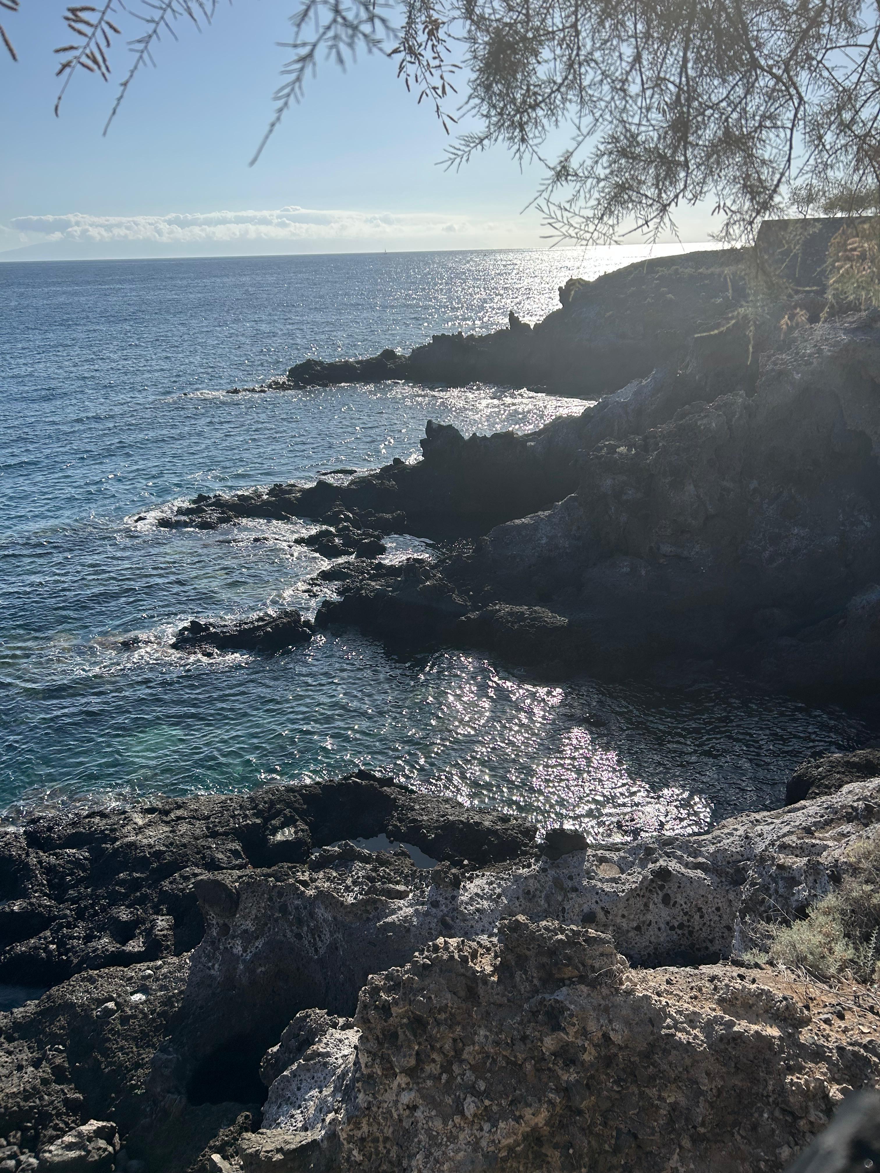 Spacious terrace with sunbeds